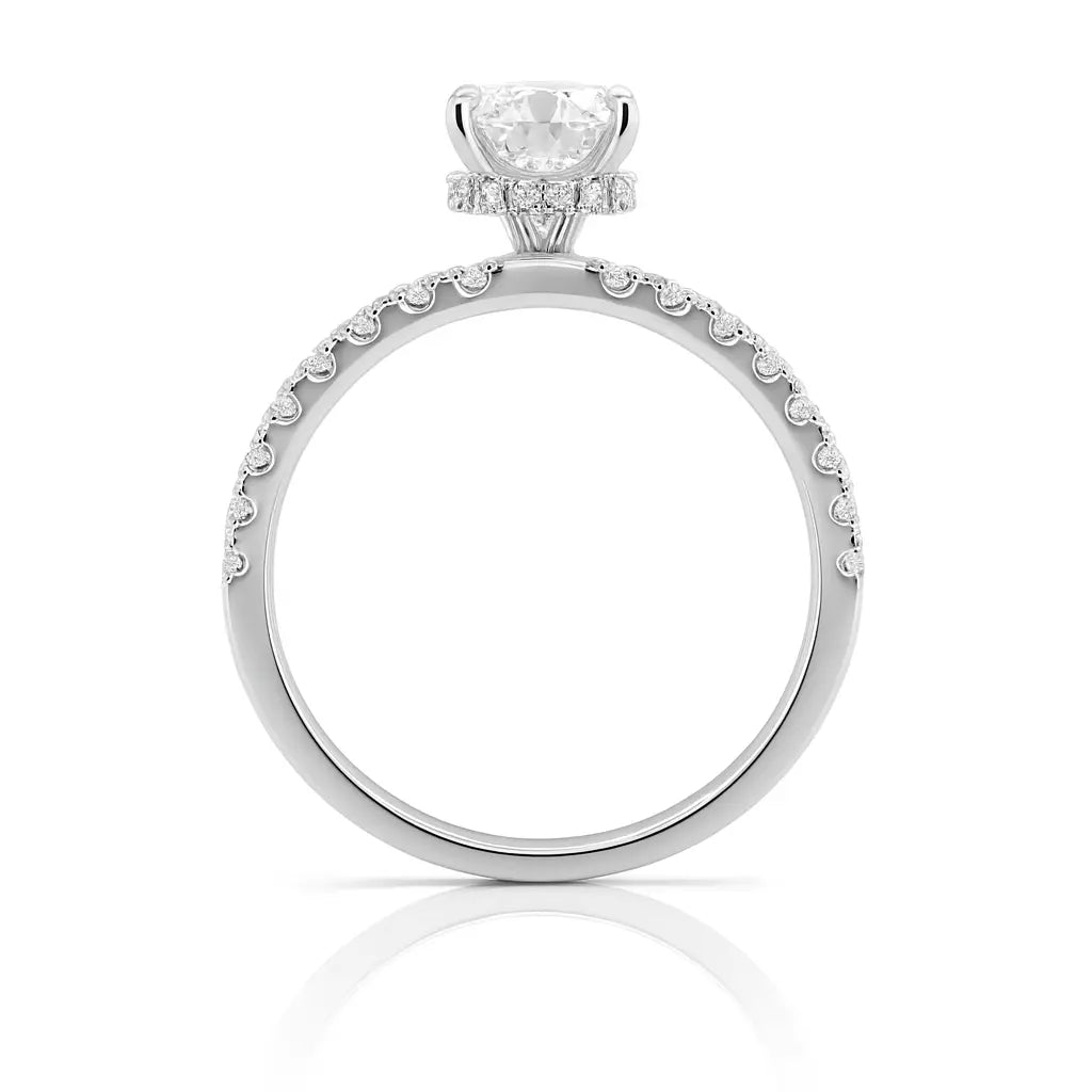 Engagement ring | Proposal ring | 18k White gold wedding ring | Diamonds on band Chloe's Jewellers
