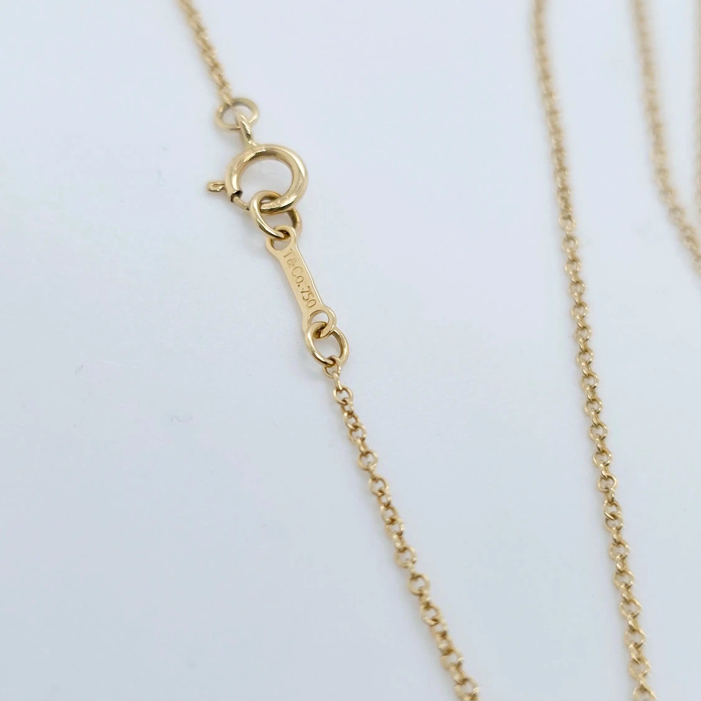 Tiffany & Co. Paloma Picasso Villa Palm Leaf Pendant, 18ct Yellow Gold,16 Inches Chloe's Jewellers